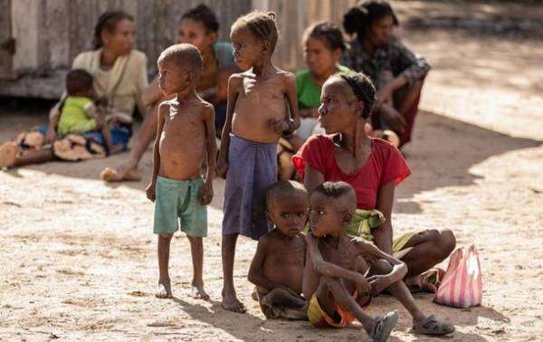 Понад 800 мільйонів людей у світі потерпають від голоду — звіт