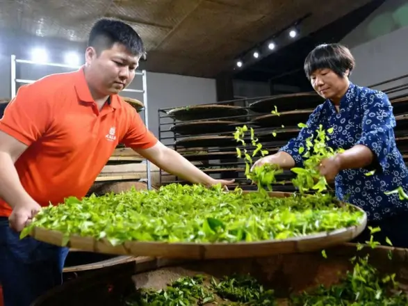 Китайське традиційне чаювання внесене до списку нематеріальної культурної спадщини ЮНЕСКО