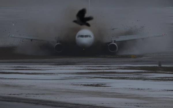 Аварія в аеропорту Вільнюса з пасажирським літаком – фото
