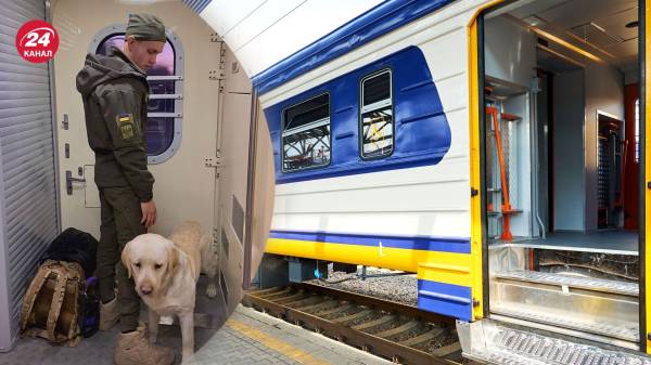 Военный проехал со служебной собакой в тамбуре более двух часов: реакция Укрзализныци