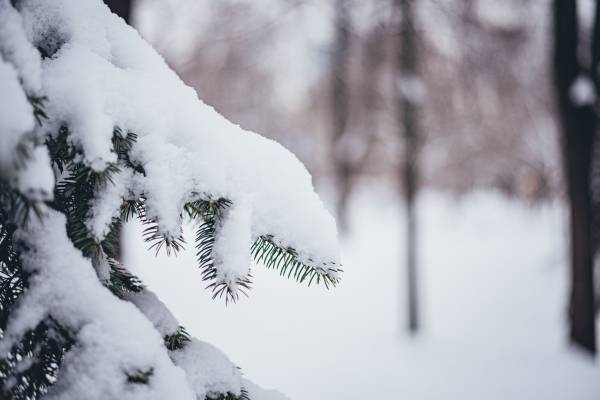 Чи можуть в Україні зникнути сніжні зими: метеорологиня здивувала прогнозом