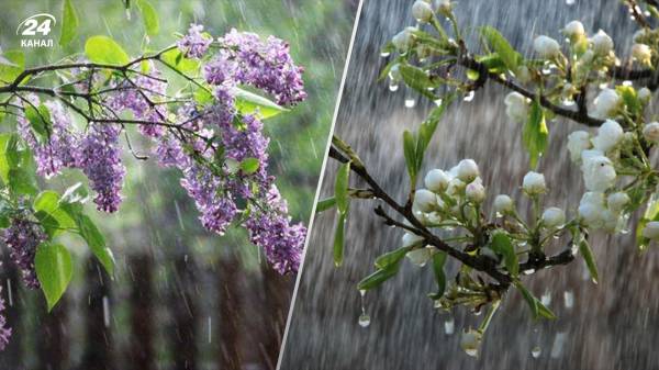 Большинство регионов накроют кратковременные дожди: прогноз погоды в Украине на 7 мая