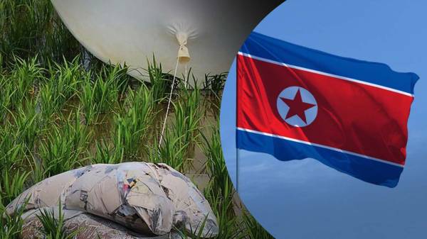 У смітті із повітряних куль, які КНДР надсилає у Південну Корею, знайшли паразитів