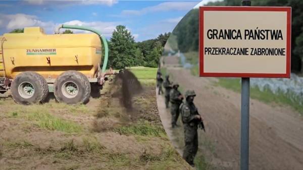 Польские фермеры разбрасывают вдоль границы с Беларусью свиной навоз