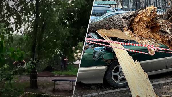 Москву снова накрыл ураган: ветер валит деревья