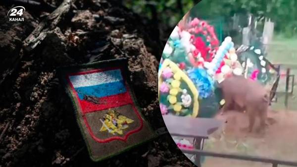 Росіяни б’ють на сполох: свині розривають могили окупантів у Новосибірській області