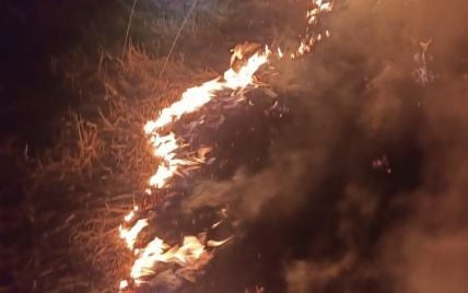 Під час 9-ти денної руйнівної пожежі утворився вогняний торнадо – відео