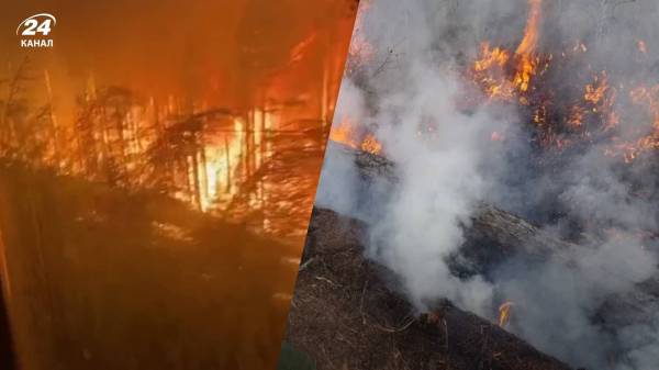 У 2024 році в Росії згоріли ліси площею з Хорватію: до чого тут війна в Україні