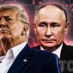 Путін хоче якомога швидше зустрітися зі мною – Трамп