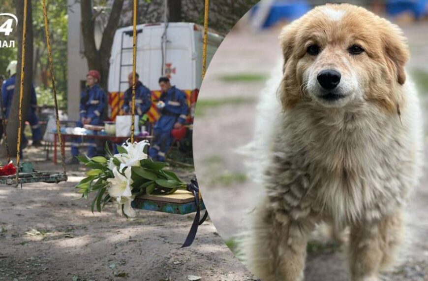 “Перелякалась і більше не прокинулась”: собака Голді померла від атаки Росії 17 червня
