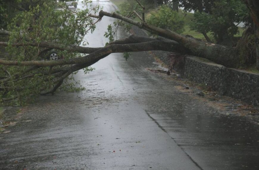 Насувається негода: коли й у яких областях буде сильний вітер