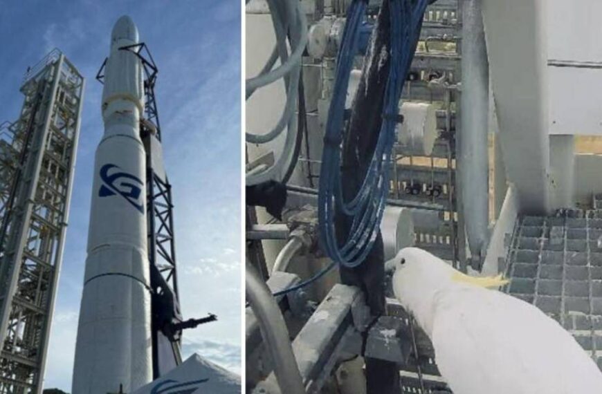 Австралійський космічний дебют зірвав папуга