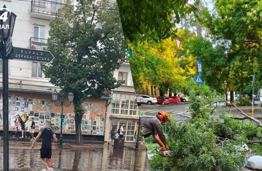 Одеса також постраждала від зливи: впало три десятки дерев, є проблеми з електрикою