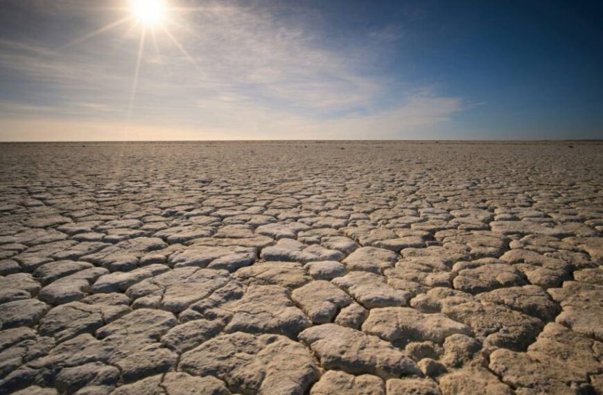 Дефіцит опадів: у яких областях буде мало дощів у липні