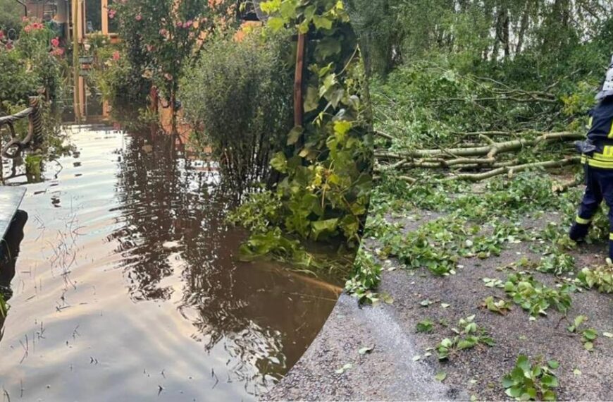 Повалені дерева, підтоплення та знеструмлення: сильна негода накрила частину регіонів України