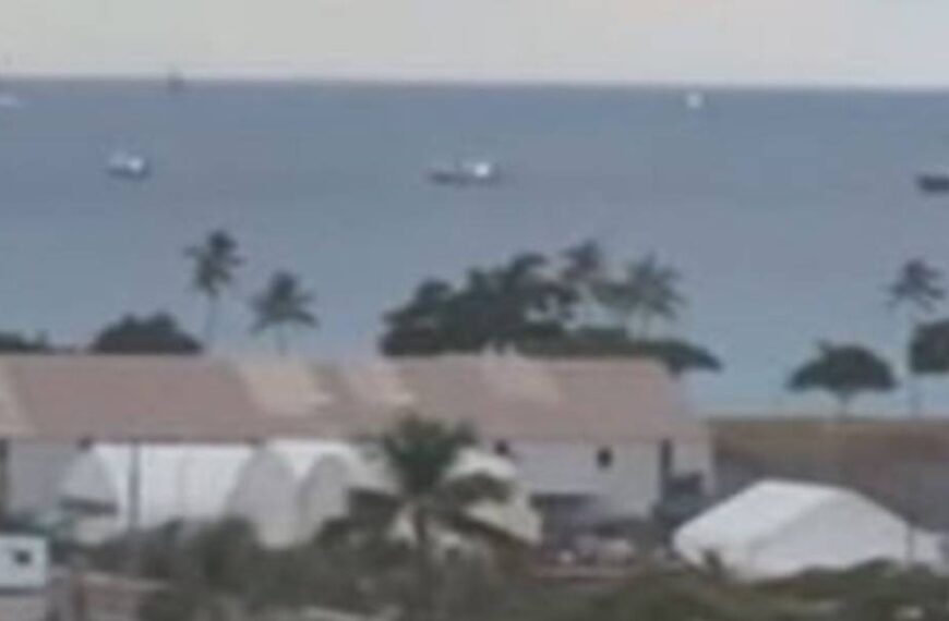 Цунамі дійшло до США: чи є наслідки лиха