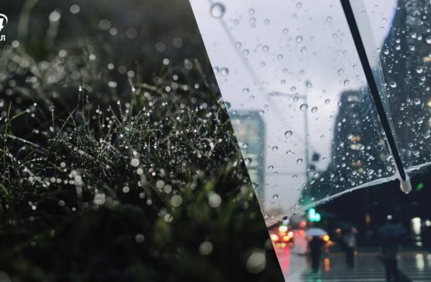 Дощі, грози та прохолода у багатьох областях: прогноз погоди на 24 серпня