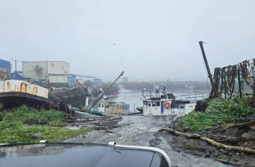 Чому землетрус у Росії не спричинив масштабних наслідків: пояснення вчених