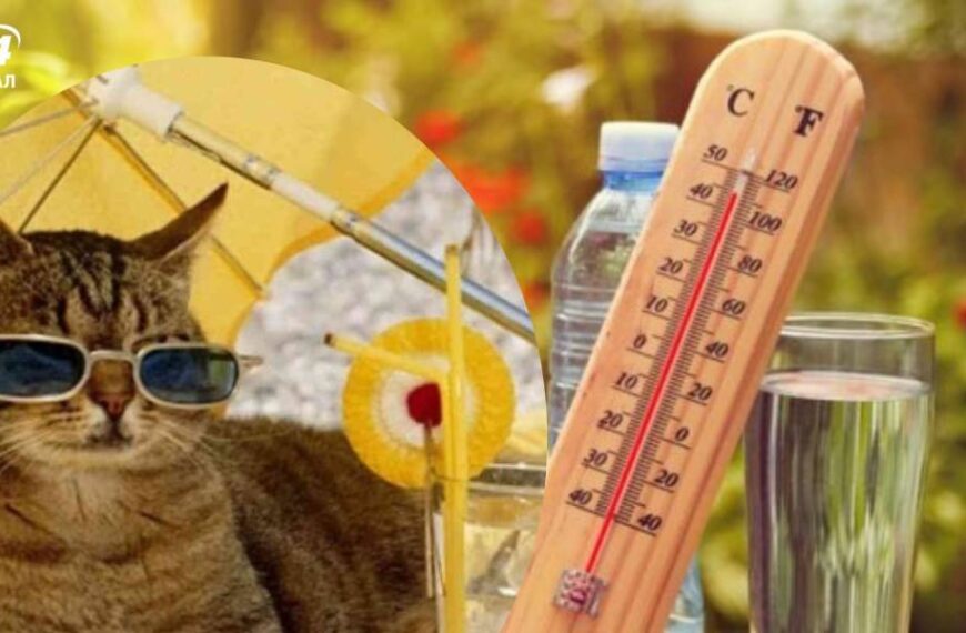 Літо в розпалі: метеорологи попереджають про гарячий серпень