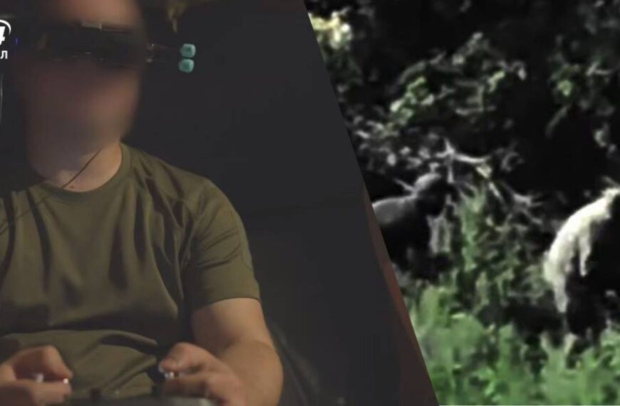 Виють від безпорадності: відео віртуозних ударів ГУР по логістиці росіян на Сумщині