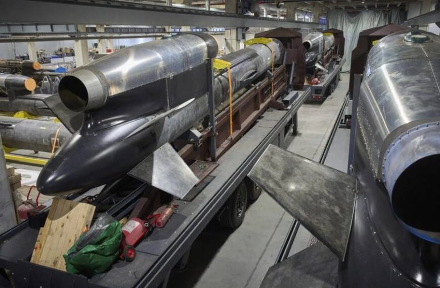 Спочатку була рожевого кольору: ЗМІ вперше показали кадри унікальної ракети “Фламінго”