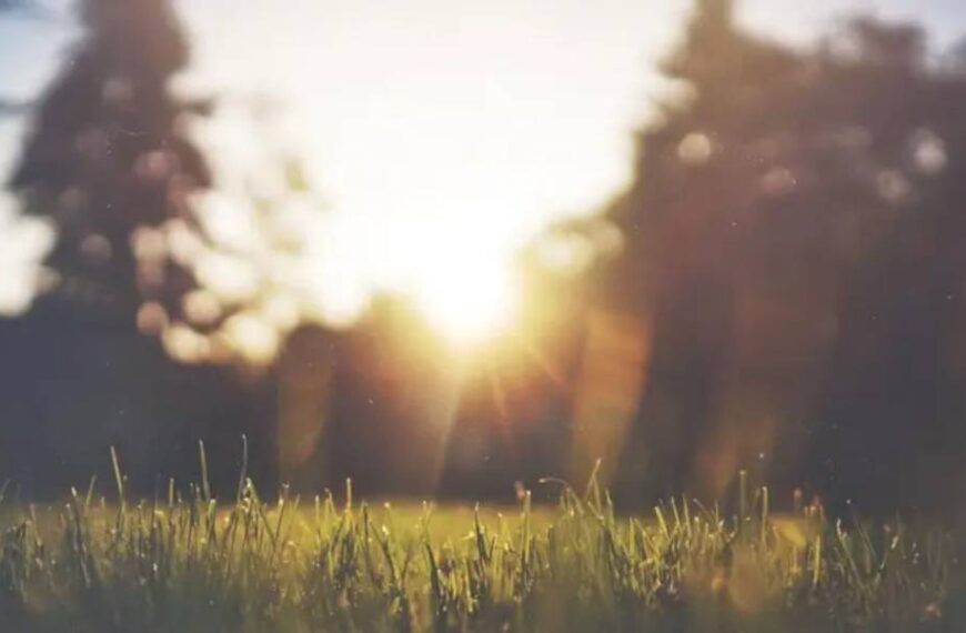 Спека до +36 градусів: якою буде погода в Україні на вихідних