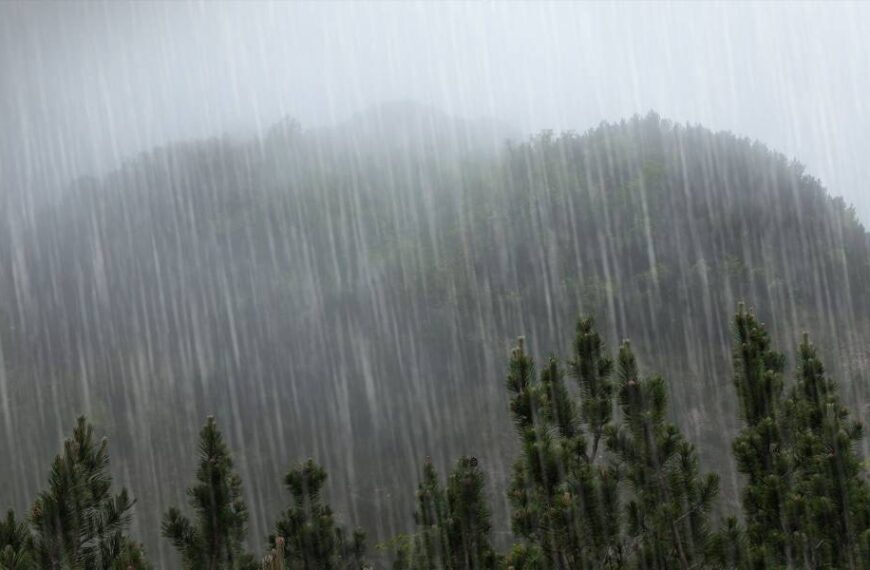 Спека до +38, дощі, грози та град: прогноз погоди на 28 липня