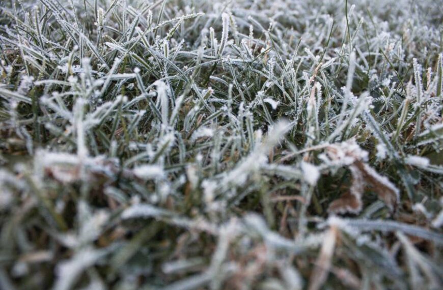 У яких областях України знову будуть заморозки