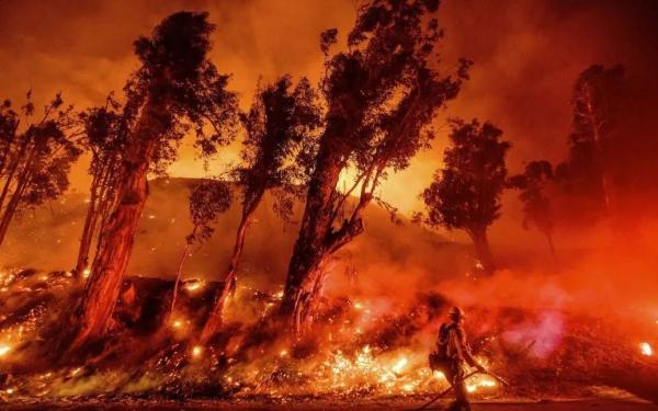 Україна готова відправити 150 рятувальників на допомогу США у боротьбі з пожежами в Каліфорнії – Зеленський