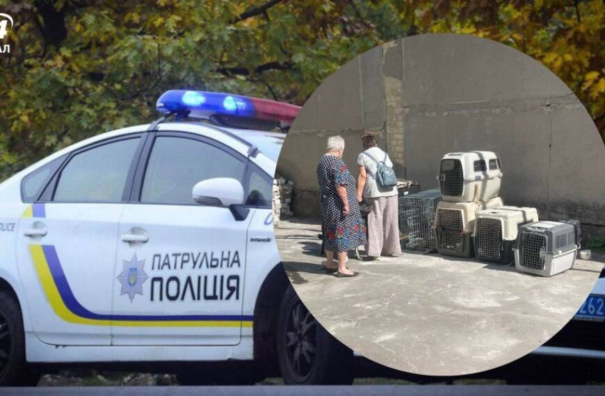 У Вінницькій області жителі села виганяли евакуйовану родину із собаками: що кажуть у поліції