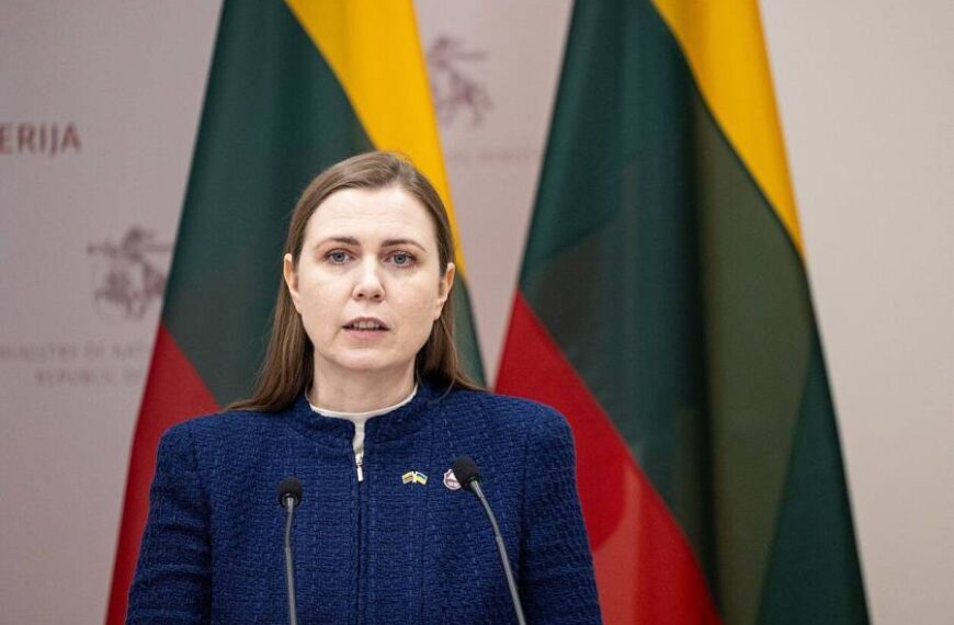 У Литві припустили, що схожий на “Герберу” дрон міг опинитися під Вільнюсом через українську РЕБ