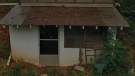 Мерзенна пара з Міссурі нібито замкнула наляканих підлітків у курнику, змусила їх битися один з одним і стріляла в них з пневматичної зброї. А після років жахливого насильства їхня мати нібито проміняла опіку над недоїданими жертвами на мобільний телефон. Шантель Гейфорд та Джеррі Меніс були заарештовані на початку цього місяця після того, що поліція описала як жорстоке нехтування дітьми та жорстоке поводження, яке 13- та 14-річні підлітки терпіли щонайменше два роки.