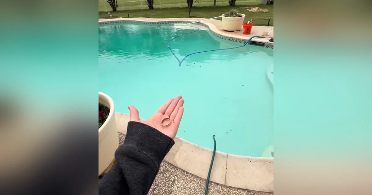 Забута каблучка Забута каблучка