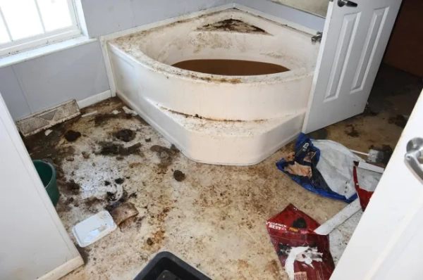 Мати та вітчим зіткнулися звинуваченнями у жорстокому поводженні з дітьми після того, як чиновники заявили, що вони переїхали до Флориди, залишивши свою 14-річну доньку в Алабамі майже рік жити самій. За даними офісу шерифа округу Мобіл, підліток залишився жити сам із сімома собаками в мобільному будинку, покритому сечею, фекаліями, тарганами та сміттям. За словами чиновників, одну з собак знайшли мертвою в шафі. Батьків звинувачують у переїзді за годину їзди до Пенсаколи, штат Флорида, зі свого будинку в окрузі Мобіл у лютому минулого року. Розслідування розпочалося в неділю, коли співробітники магазину Dollar General викликали поліцію, оскільки побачили, як дівчинка спотикається дорогою перед магазином. За словами помічників шерифа, дівчинка відчувала запаморочення та біль у шлунку. Її доставили до лікарні для надання допомоги, де її опитали детективи. Під час допиту дівчинка сказала, що живе сама зі своїми собаками в мобільному будинку приблизно з лютого минулого року – приблизно на свій 14-й день народження, повідомляє офіс шерифа. За словами офіційних осіб, дівчинка розповіла їм, що її мати, Маршель Лінн Пертілла, та вітчим, Юджин Медрано, переїхали до Пенсаколи, і що востаннє вона бачила їх 31 жовтня. Дитина розповіла владі, що спілкування з батьками відбувалося переважно через Snapchat, а мати надсилала їжу через DoorDash або Walmart. У понеділок офіс шерифа та служба контролю за тваринами Prichard Animal виконали ордер на обшук у будинку, де жила дівчинка. Посадовці повідомили, що внутрішня частина причепа була вкрита сечею, фекаліями, тарганами та сміттям. На території було знайдено сім собак, зокрема одну собаку, яку знайшли мертвою в шафі. Решту собак забрали співробітники служби контролю за тваринами Prichard Animal Control. Детективи також знайшли рукописний лист від дівчинки під назвою «Скільки разів мама каже мені, що не може мене забрати!?». Повідомляється, що в листі було 87 позначок. Детективи знайшли батьків та допитали їх. В офісі шерифа повідомили, що коли Пертіллу запитали, чому її доньку залишили саму, вона заявила, що це тому, що дівчинка не хотіла залишати своїх тварин-помічників. Незрозуміло, чи були серед знайдених у будинку собаки-помічники. Матері та вітчиму висунули звинувачення у жорстокому поводженні з дітьми та тваринами. Їх доставили до в'язниці округу Мобіл.