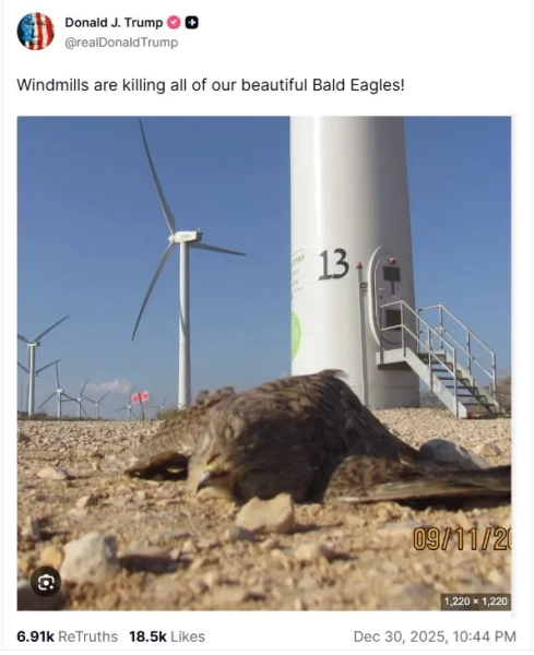 Трампа обдурили фальшивим зображенням, на якому стверджується, що вітряки вбивають американських білоголових орланів Credit Truth Social
