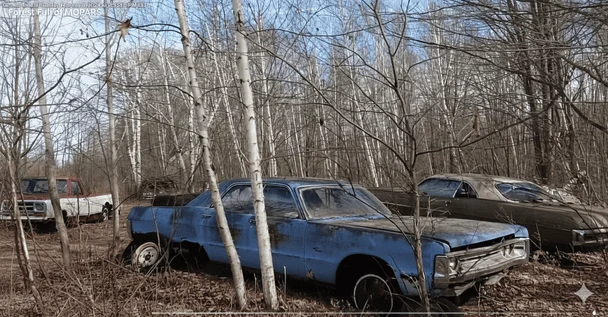 / © скриншот з відео