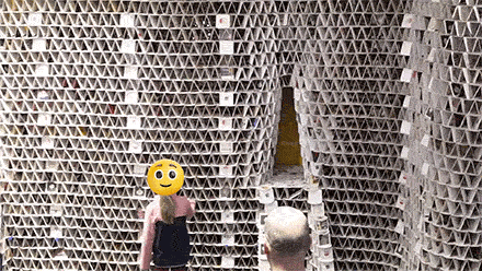 GIF-анімація, на якій молода дівчина хапає один із бурякових килимків.