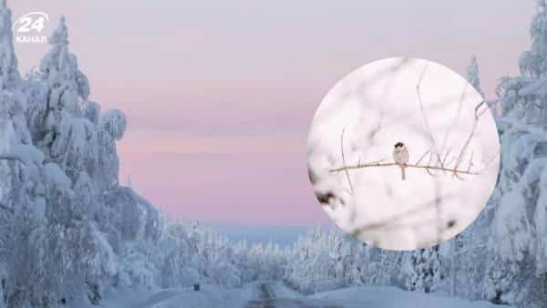 Подекуди знову лютуватимуть морози та сніжитиме: прогноз на 17 лютого