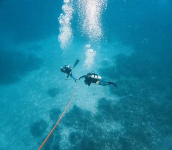 Чи може океанічна течія в США перетворити «Післязавтра» на реальність?