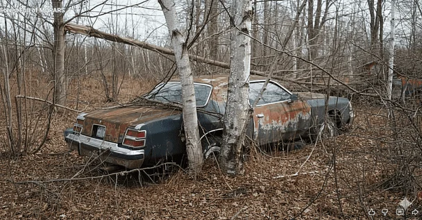 / © скриншот з відео