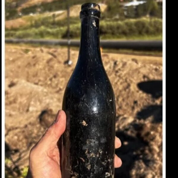 Відкопали 150-річний напій: вердикт експертів