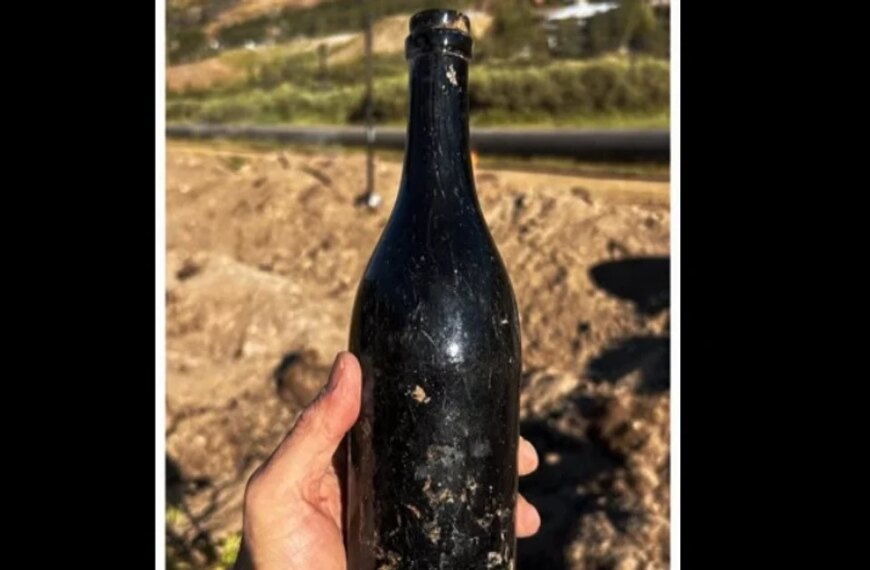 Відкопали 150-річний напій: вердикт експертів