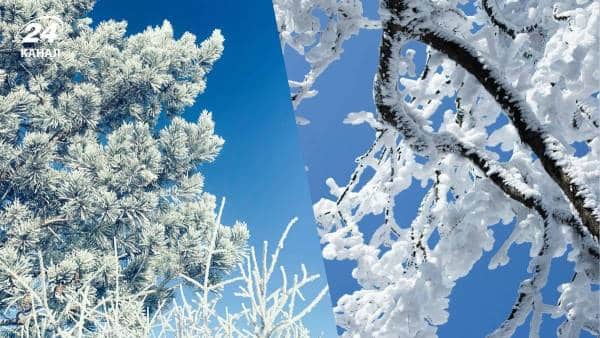 Чи будуть ще холоди: прогноз синоптика щодо потепління