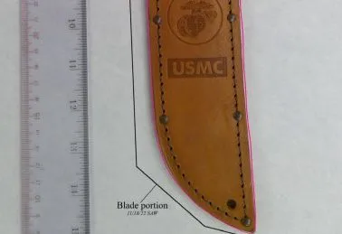 Моторошні фотографії розкривають докази, які змусили Браяна Кохбергера звинуватити у вбивстві студентів з Айдахо