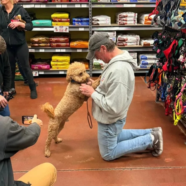 JetBlue ?? (будь ласка, дивіться його передісторію @lvmpd) 2-річний самець голдендудля Його історія була дуже цікавою?, і ми обіцяємо ділитися новинами та оновленнями в міру їх розгортання. JetBlue був покинутий в аеропорту LV. Його власника заарештували та звинуватили у залишенні тварини. Хоча ця частина його історії розбиває серце, те, що сталося після цього, було просто надзвичайним. Вилив любові з боку нашої спільноти був приголомшливим у найпрекрасніший спосіб. Ми робимо все можливе, щоб бути в курсі повідомлень, дзвінків та заявок - будь ласка, потерпіть нас. Ми можемо поділитися цим: він отримав так багато заявок та запитів. (Так? заявки обов'язкові.) У нас лише один JetBlue?, але у нас є багато інших дивовижних собак, таких як він, які також чекають на свій другий шанс. Якщо ваше серце зворушила його історія, ми сподіваємося, що ви також розглянете одного з них. Цей милий хлопчик неймовірний. Дійсно неймовірний. І після всього, через що він пройшов, думка про те, що він коли-небудь знову буде покинутий, дуже наполягає на цьому. Ми будемо надзвичайно ретельно обмірковувати вибір його постійної родини. Він заслуговує на стабільність. Безпеку. Відданість. Довічну обіцянку. JetBlue потужним чином привернув увагу до проблеми порятунку тварин, законів про покидання тварин та до того, що собаки не є одноразовими. Завдяки створеній ним увазі, він може допомогти багатьом нашим малюкам знайти дім – і за це ми дуже вдячні. Ми також хочемо публічно подякувати неймовірним людям, які негайно втрутилися: ? Дивовижним працівникам кас JetBlue? TSA? LVMPD @lvmpd? Службі контролю за тваринами? Фонду тварин. І дякуємо @dogsupplieslv за те, що прийняли нас і дозволили JetBlue самостійно вибрати собі іграшки сьогодні ввечері (так, у нього чудовий смак). Величезне спасибі Signature за пожертвування річного запасу їжі! Ми продовжуватимемо стежити за дотриманням правил та забезпечувати відповідальність. Давайте переконаємося, що звинувачення залишаться чинними. Це важливо. Але пам’ятайте – він не просто герой заголовків. Він не просто миле личко. Він жива, дихаюча душа, потреби якої повинні бути задоволені до кінця життя. Ми безмежно вдячні вам усім за любов і підтримку. Ще трохи незабаром? це лише перша частина подорожі JetBlue. ?? 15574037 Безсердечну заарештували за те, що вона покинула своє цуценя біля каси аеропорту Вегаса, бо не змогла взяти його з собою на рейс.
