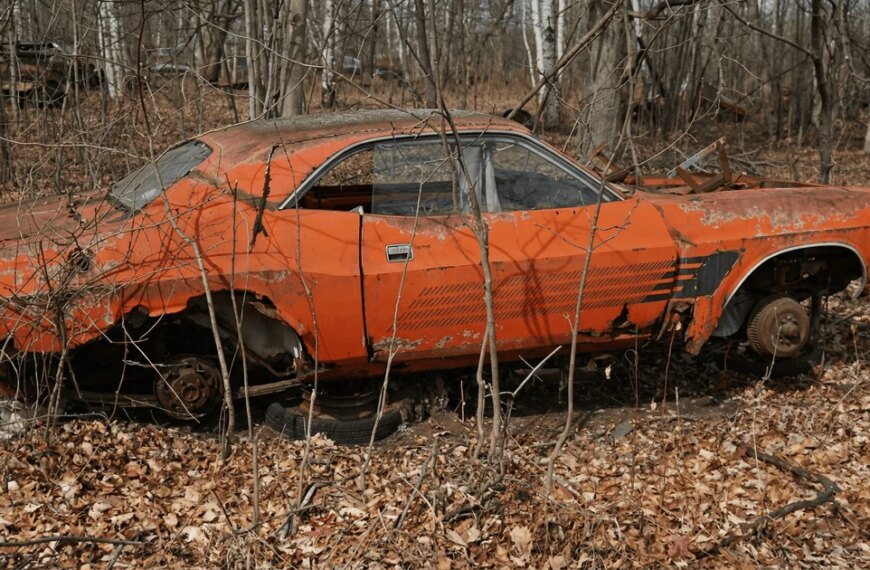 Рідкісні автівки, покинуті в лісі, перетворюються на мотлох (фото)