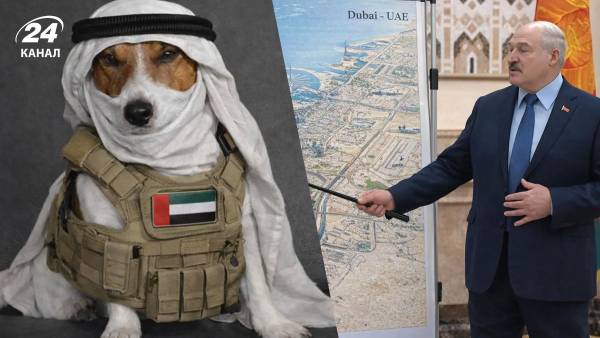 З Дубаю з вітаннями: меми українців про “Пса Шайтана”