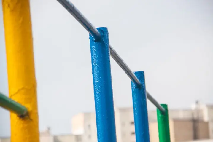 Найвища людина в історії: зростання, в яке важко повірити