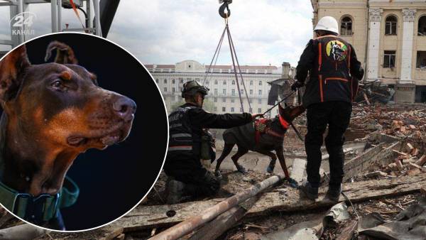 Рятувальниця Ханна, що відшукала більше 170 осіб, померла після тяжкої недуги.