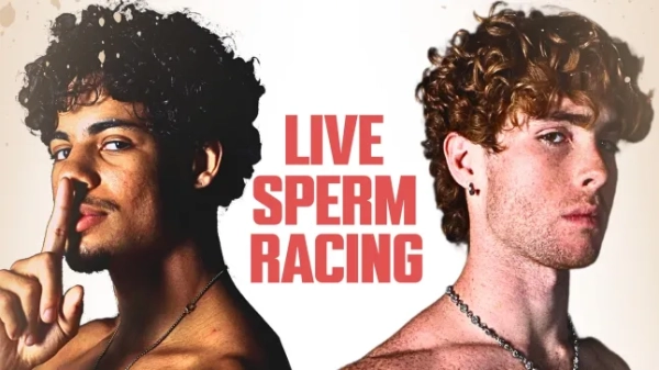 Перегони сперматозоїдів